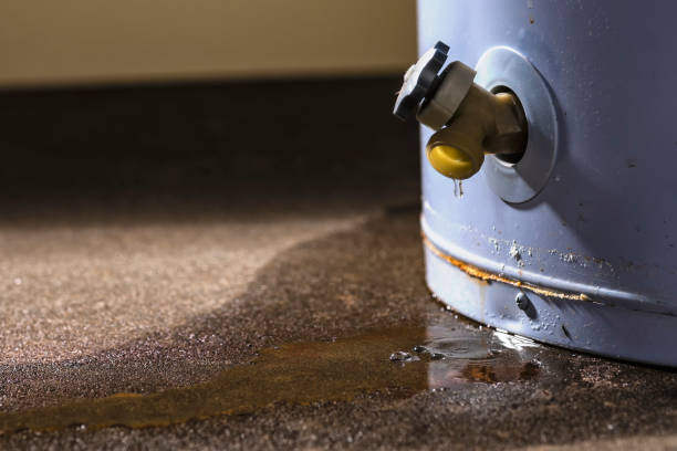 Best 24/7 water damage repair  in Shelby, MT