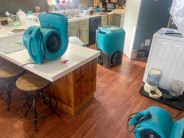Best Mold removal after water damage  in Shelby, MT