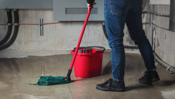 Best Water damage restoration specialists  in Shelby, MT
