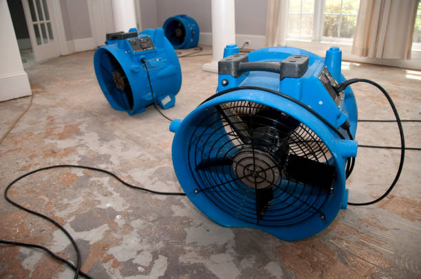  Shelby, MT Water damage restoration Pros