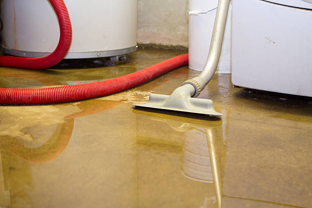 Best Mold removal after water damage  in Shelby, MT