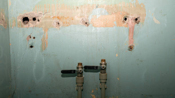 Best Sewage cleanup and water damage restoration  in Shelby, MT