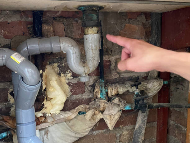 Best Fire Damage Restoration  in Shelby, MT