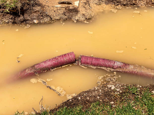 Best Local water damage restoration  in Shelby, MT